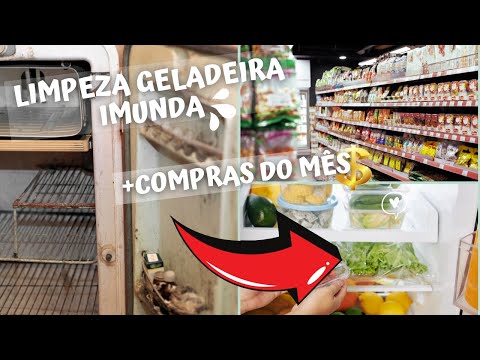 🧼 GELADEIRA IMPECÁVEL: Limpeza Pesada + Tour pelas Compras do Mês 🛒💎