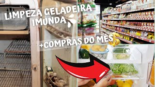 ? GELADEIRA IMPECÁVEL: Limpeza Pesada + Tour pelas Compras do Mês ??