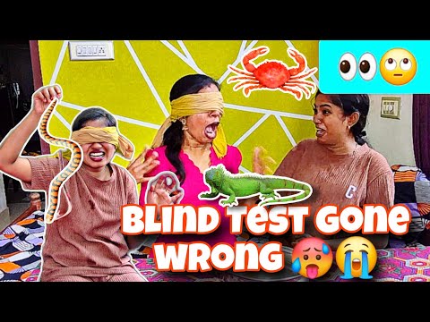 🙈🥵BLIND TEST WITH SISTER || VINEETHA VINI 