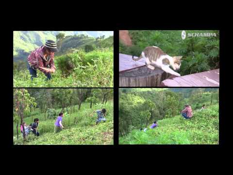 Laos Motorcycle Adventure, Episode #6 - Never Stop Riding