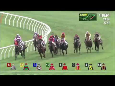 2022 05 01 沙田 第七場 翔龍再現 希威森