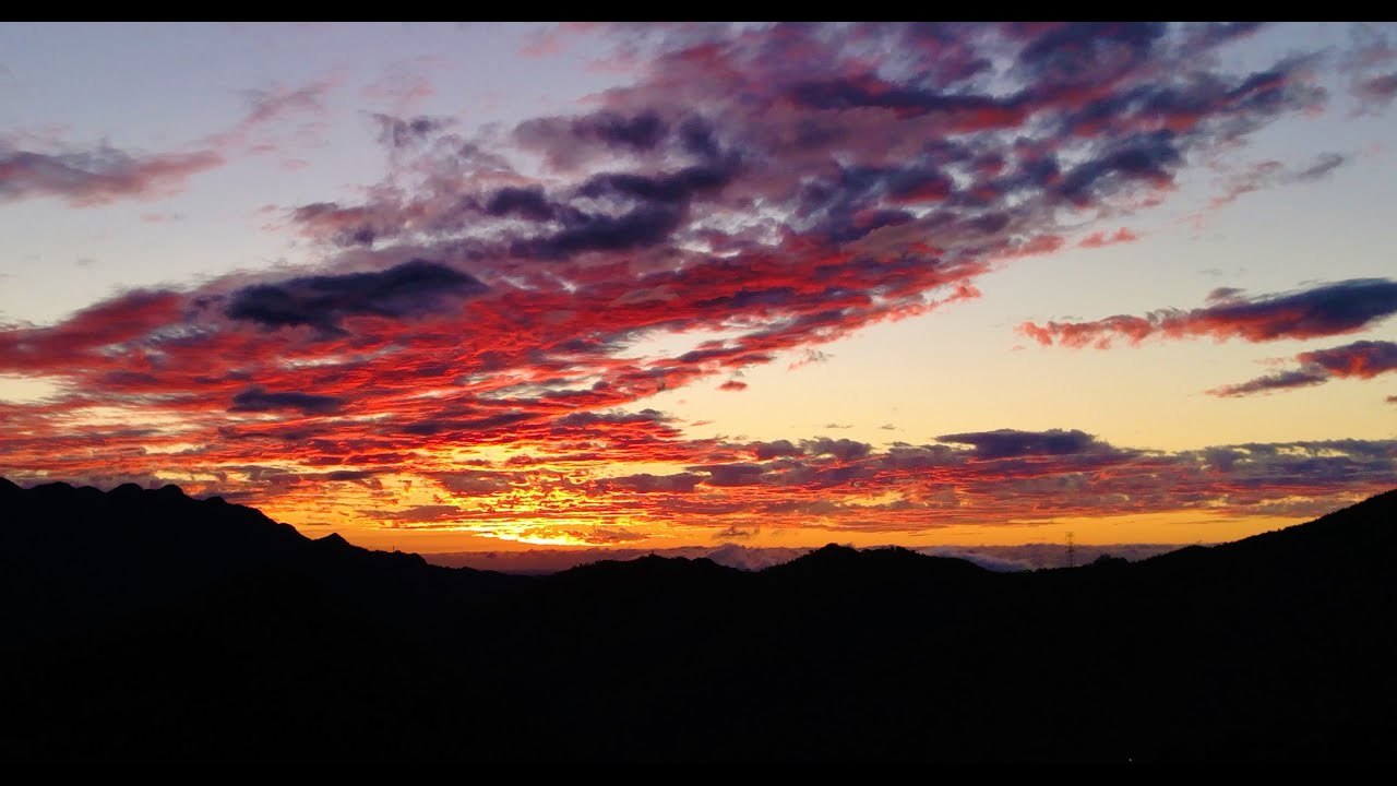 東眼山國家森林遊樂區