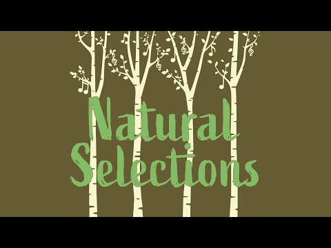 Natural Selections Presents Lamp - Okami