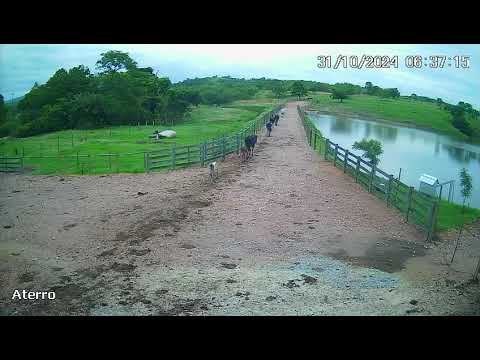 Fazenda Morro Agudo 4