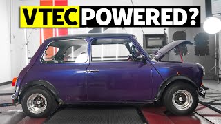 Classic Mini with ITB's and VTEC Hits the Dyno // Dyno EVERYTHING