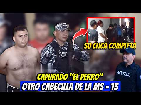 🚨🛑 ¡Cayó “El Perro” en operativo nocturno en San Juan Opico! 🚨🛑