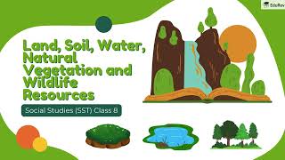 🌍 Land, Soil, Water, Natural Vegetation | Class 8 Geography Chapter 2 | Animated Explanation & Notes