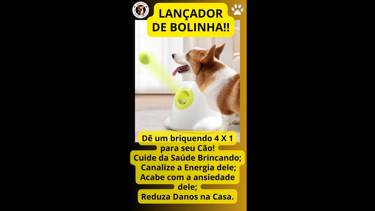🐾🐕Brinquedo Lançador de Bolinha - o presente que seu cão merece! #lançadordebolinha #cães #dog💙🐶