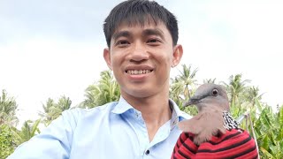 Gác Cu Gáy / Mồi Chưa Kịp Gáy Bổi Đã Cấm Đầu Té Gác Cu Gáy / Mồi Chưa Kịp Gáy Bổi Đã Cấm Đầu Té