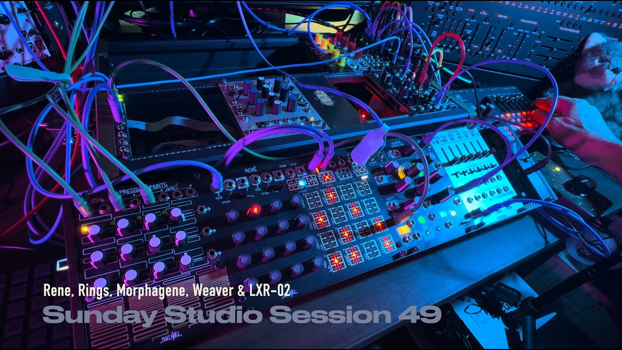 Session 49
