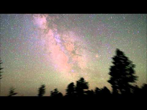BearForm - Intergalactic Highway
