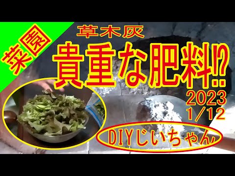 庭の灰は植物にとってどちらが良いですか：天然木と圧縮木質ペレット  庭園