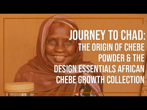Journey to Chad: The Origin of Chebe Powder & the...