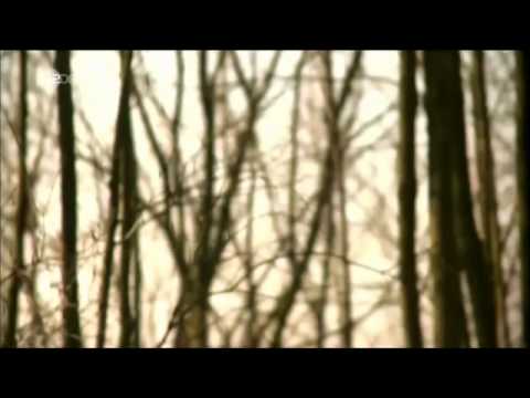 ZDF Todesfalle Internet im Chat mit dem Mörder 21.04.2011