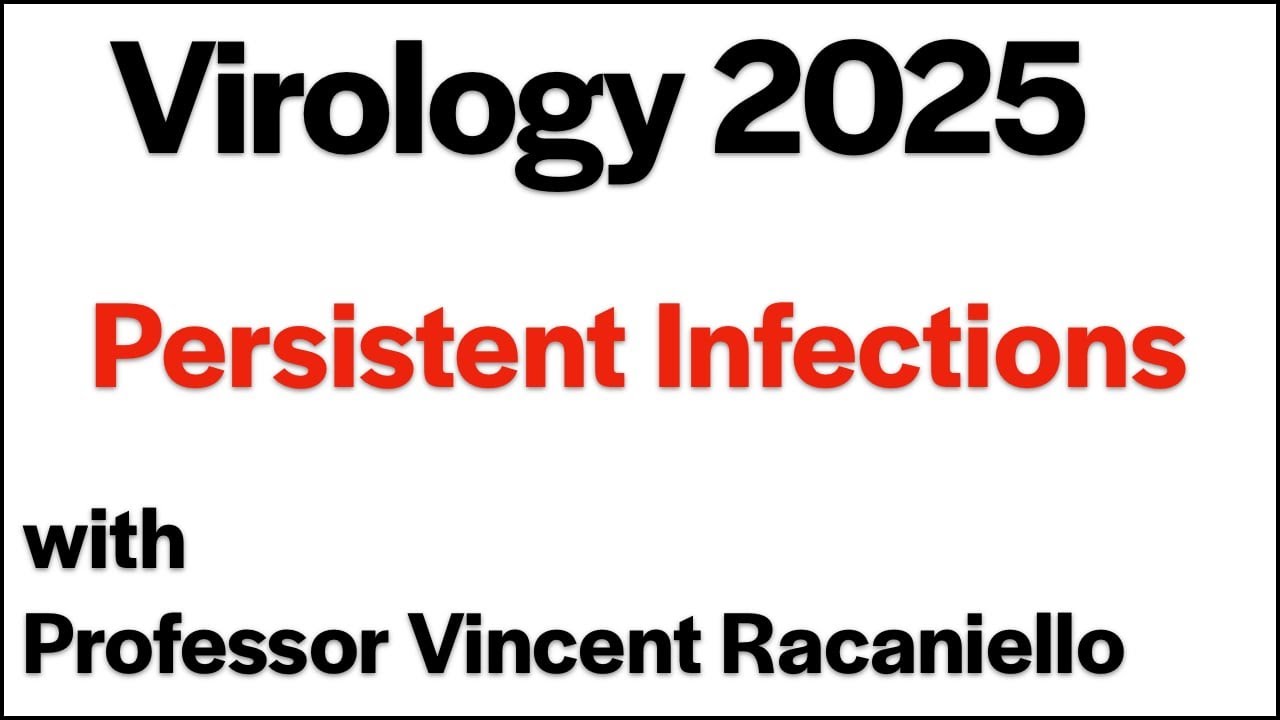 Virology Lectures 2025 #17: Persistent infections
