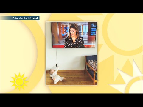 Rania ger bebisen arga blicken : ”Neeej, det är inte på riktigt!” - Nyhetsmorgon (TV4)