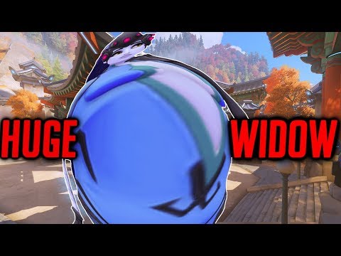 This widow is Huge - Aimbottz Gameplay