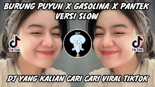 Download lagu DJ BURUNG PUYUH DI MAKAN BIAWAK X GASOLINA X PANTEK PANTEK VIRAL TIKTOK 2022 mp3