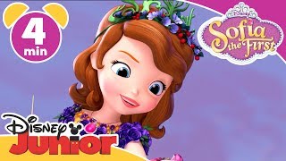 Sofia The First  The Crown of Blossoms  Disney Jun
