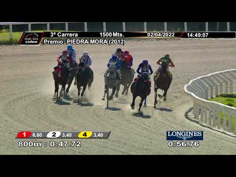 220402 c03 EL OPTIMISTA