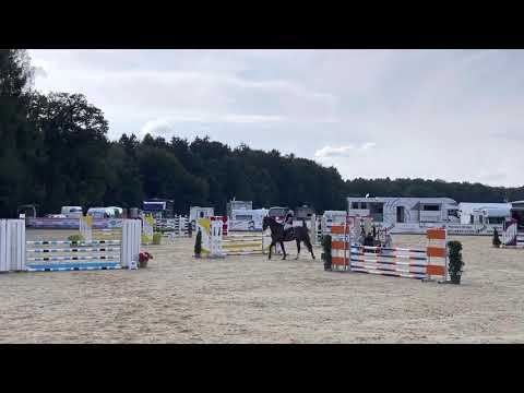 CAMPARI SODA (6yo Crumble) 09.21 Ranshofen - 1. Platz Youngster 115 cm