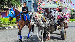 Download lagu NAIK DELMAN ISTIMEWA | HORSE | KUDA DELMAN - KUDA mp3