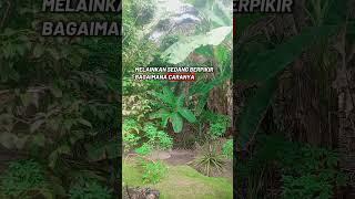 Download lagu ketika suami duduk sambil minum kopi #storyharian #shortvideo #motivasi #kopi #suami mp3