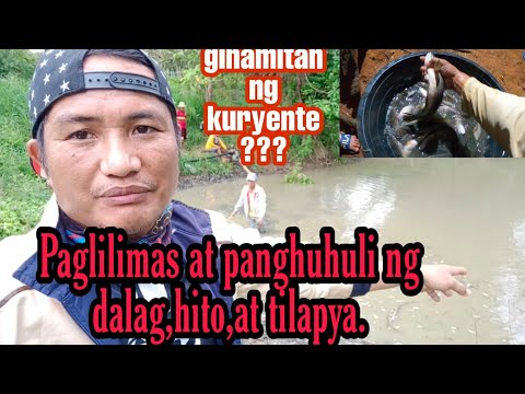 Buhay probinsya|paglilimas at panghuhuli ng sari-saring isda