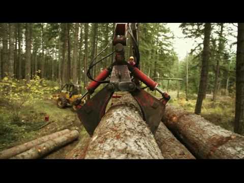 Skate 3 - Intro Video (FULL) [HD]