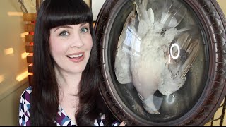 MACABRE FAVORITES for the New Year