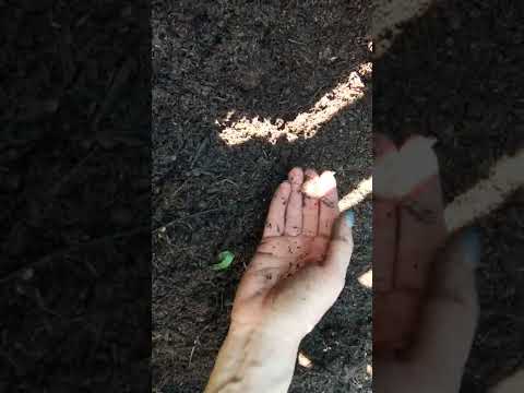 Zakochaj się w kompoście 😁