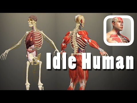 How to Get A Man in Idle Human Game - YouTube