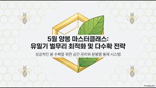 [5월 2주] 양봉_유밀기 분봉열 방지, 봉군 증식을 위한 수평격왕판과 덧통 올리기