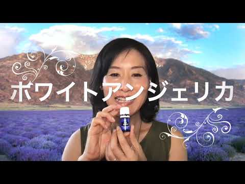 薬用植物としてのアンジェリカ: 応用と効果 ライフスタイル