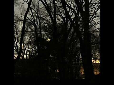 Video thumbnail for IDon’tKnowWhat’sGonnaHappenToMe