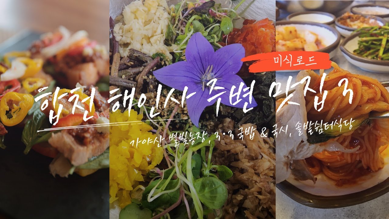 합천 해인사 주변 맛집 3