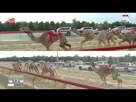 ش 12 (معزه) لـ محمد بطي الحسناء المري 12:18:98 ، ختامي المرموم 2026/03/30 ثنايا