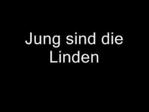 Jung sind die Linden