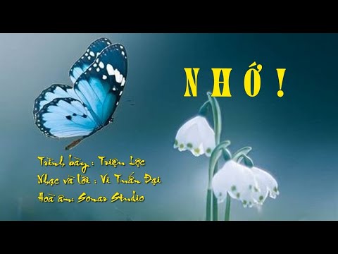 Nhớ Sheet - Triệu Lộc