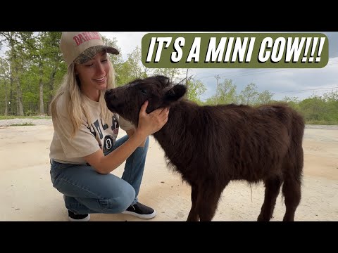 Doss Farms and Piney Grove Homestead