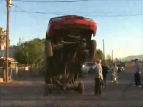 Video: Jus Rhyme - Roar (prod. Sinima) from album Apolcalypse Now!