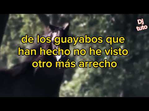 Karaoke la sede de los guayabos Jesús Quintero.