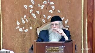 הרה"ג הרב וועכטר שליט"א כ"ו ניסן תשפ"ה - מאמר הרבי הריי"צ הת"ש ד"ה כי ישאלך בינך חלק א (הרב אברהם מנחם מענדל וכטר) - התמונה מוצגת ישירות מתוך אתר האינטרנט יוטיוב. זכויות היוצרים בתמונה שייכות ליוצרה. קישור קרדיט למקור התוכן נמצא בתוך דף הסרטון