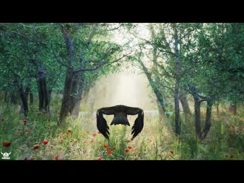 Eagle Realtime Animated Sequence Unreal Engine 4