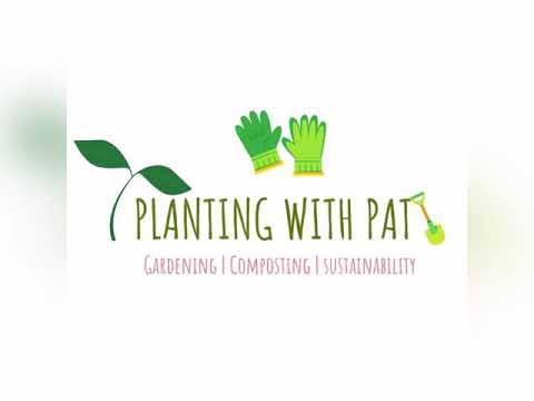 Double Trouble Repotting Session!