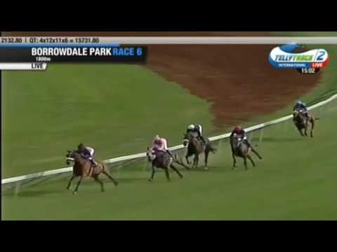 2016.11.20 Champion Fillies Stakes (ZIM) - La Carmelita