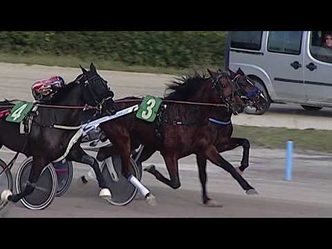 Aversa trotto 18 Gennaio 2020 - 1° Corsa