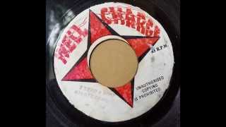 Mighty Diamonds - I Need a Roof - Well Charge