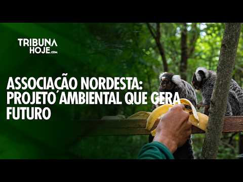 Associação Nordesta: preservação ambiental que transforma o futuro