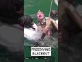 FREEDIVING COMPETITION BLACKOUT